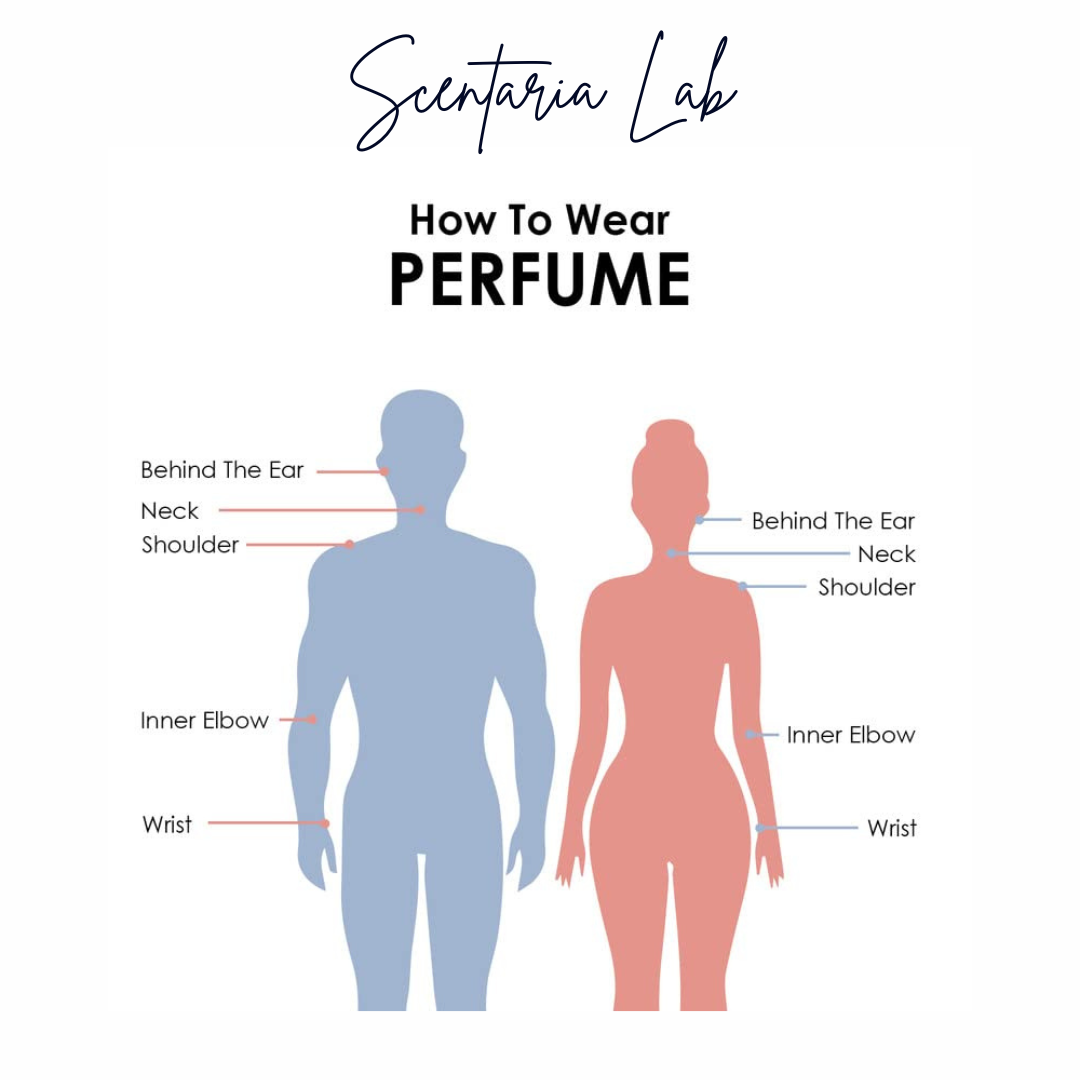 EXTRAIT DE PARFUM PREMIUM INSPIRED SCENTS COLLECTION (Men & Women)